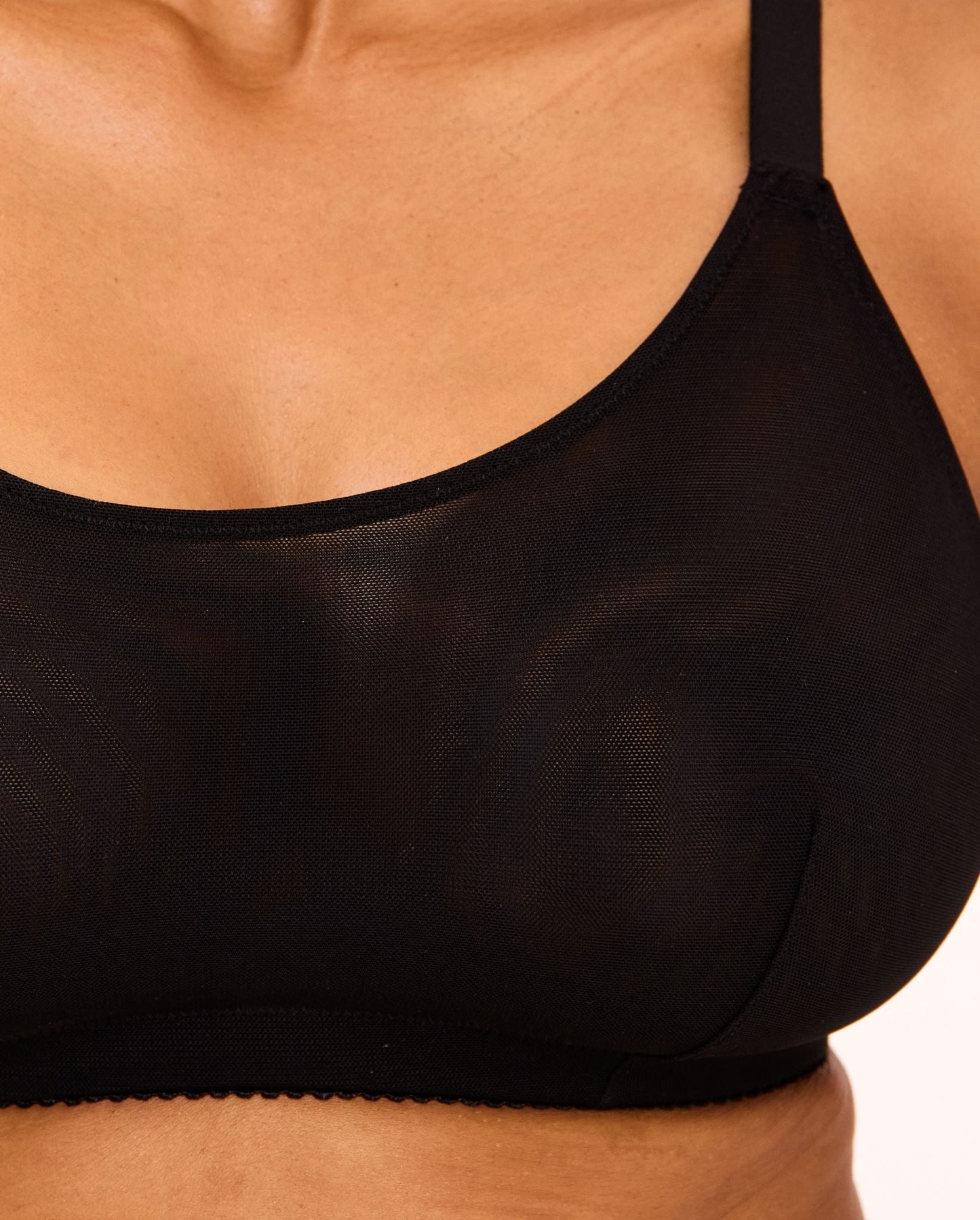 model-name=Sion|model-size=M+