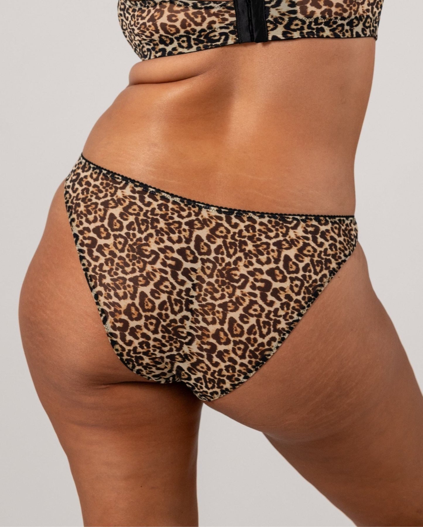 |model-size=XL|