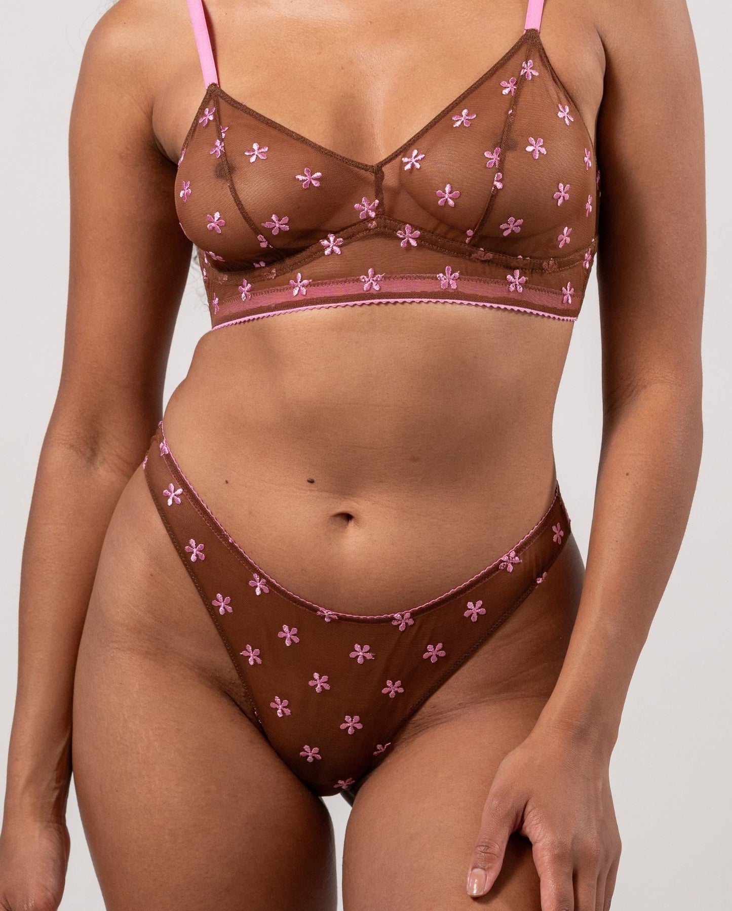 |model-size=M|