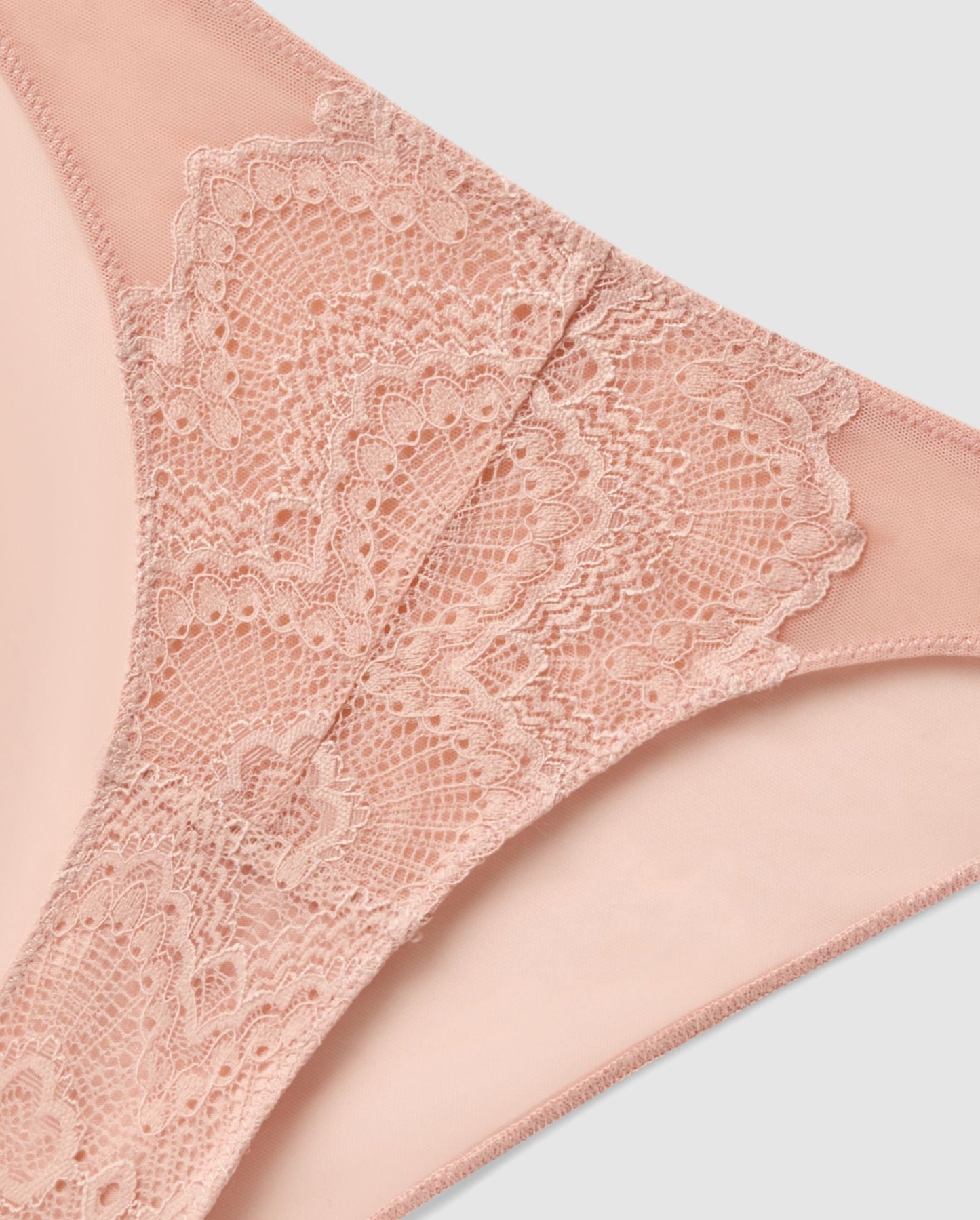 Lace Mesh Bikini Briefs Nude