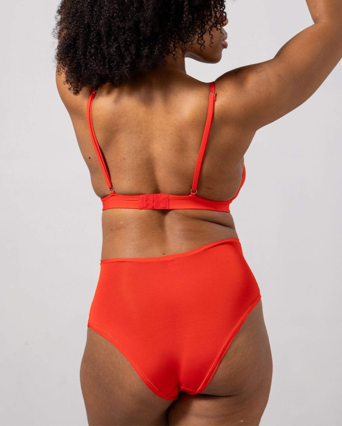 model-name=Eva|model-size=L