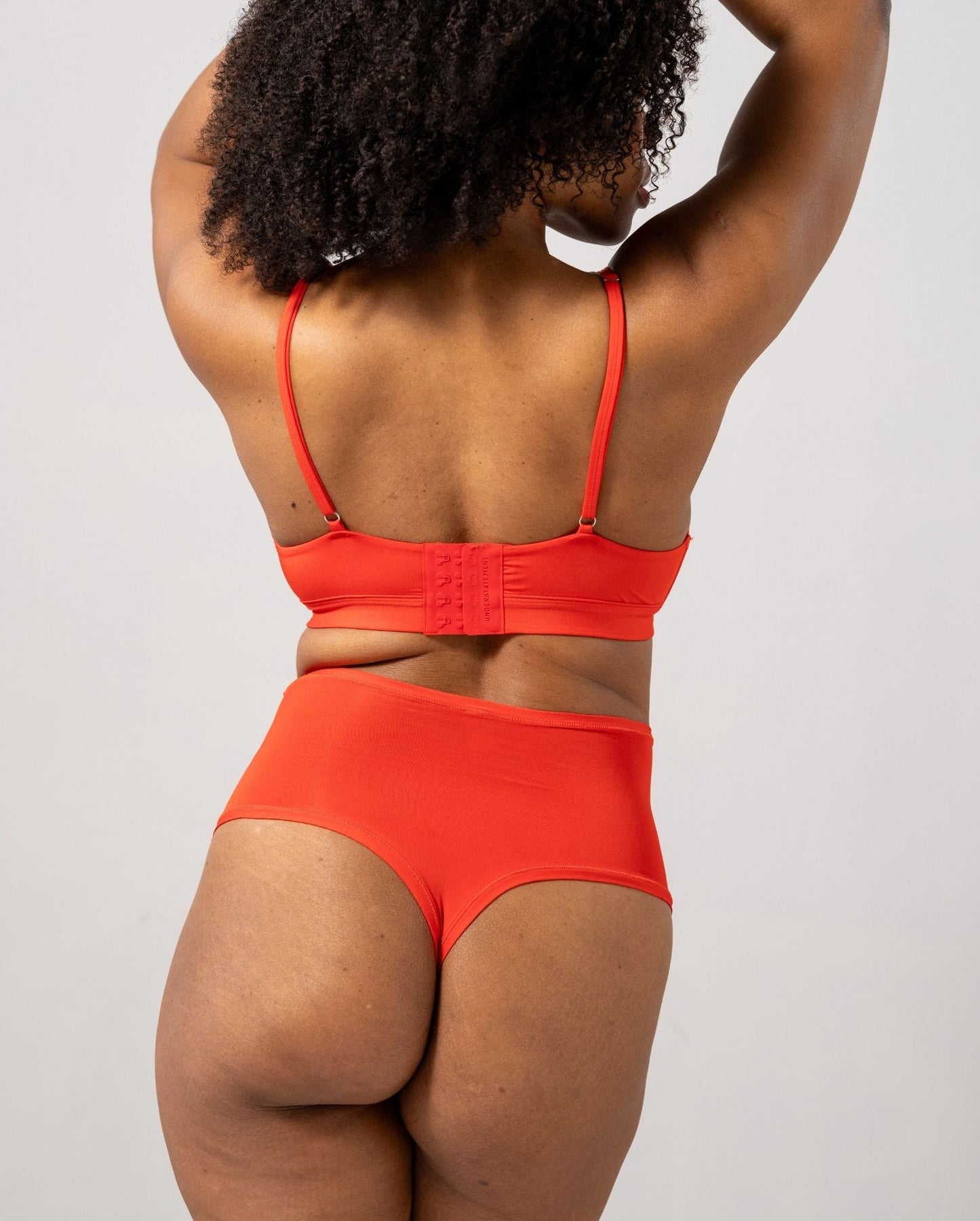 model-name=Eva|model-size=L