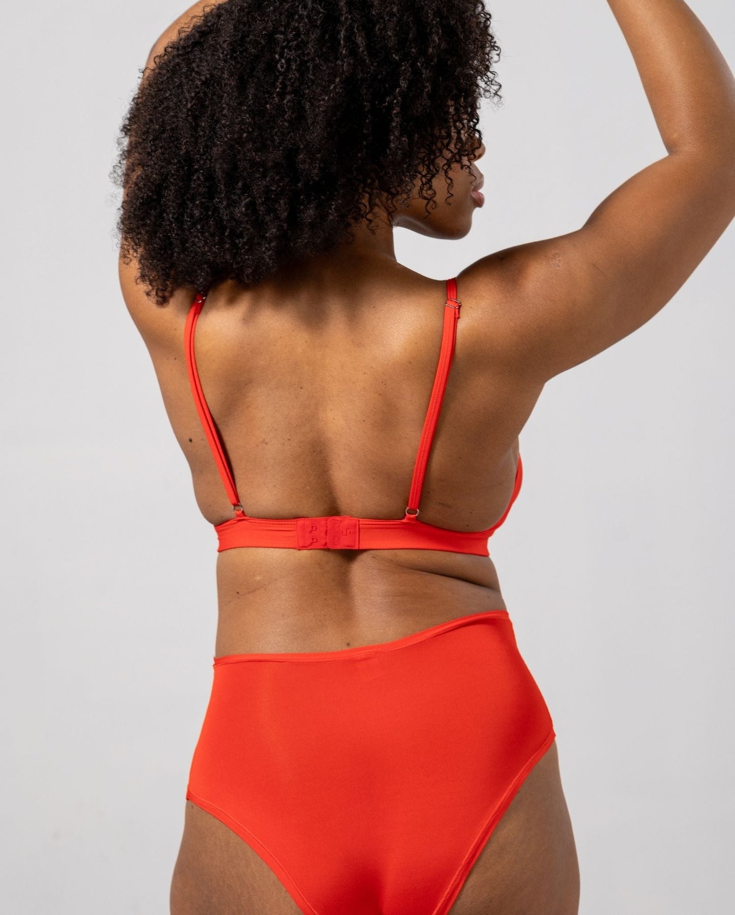 model-name=Eva|model-size=L