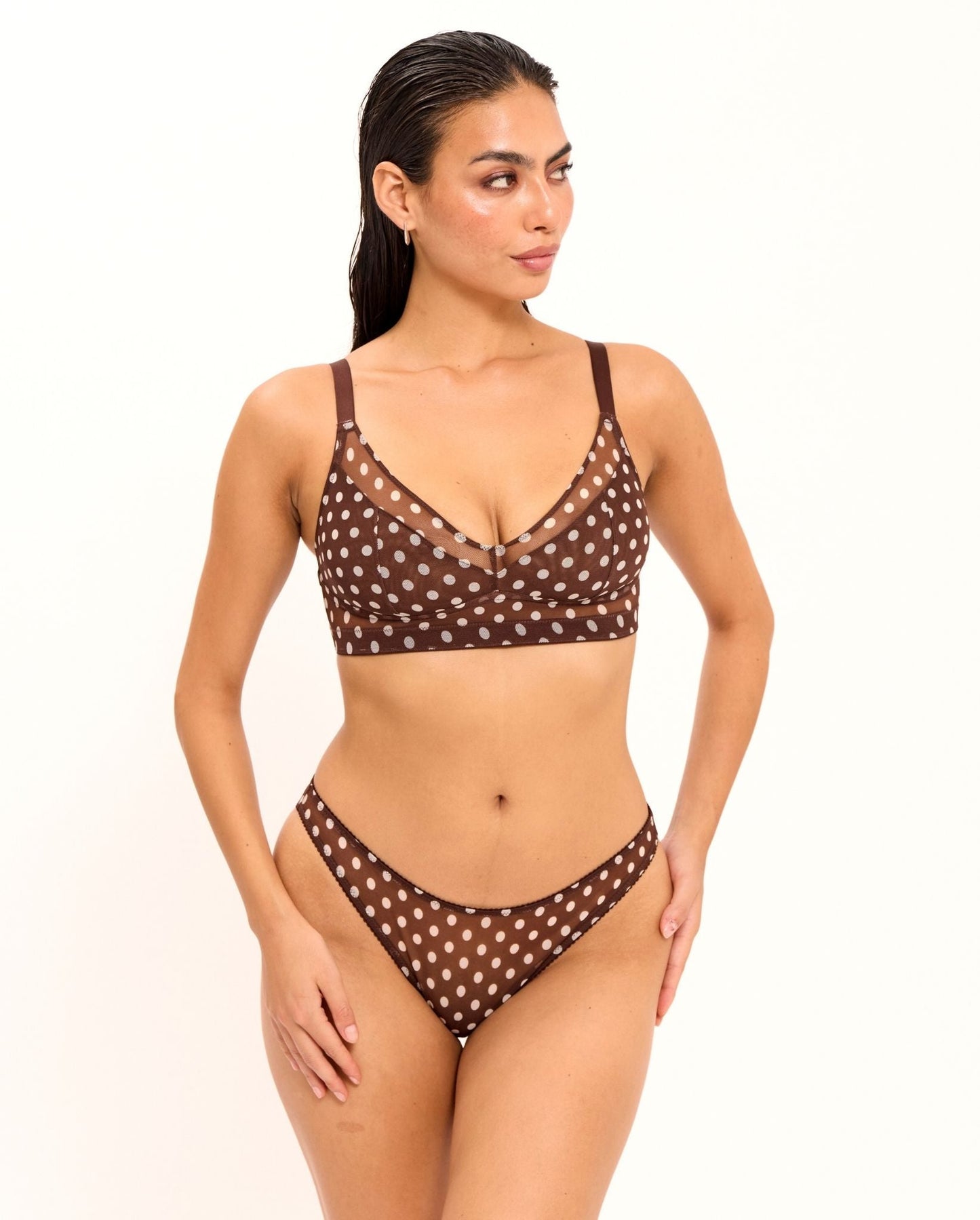 model-name=Asia|model-size=M