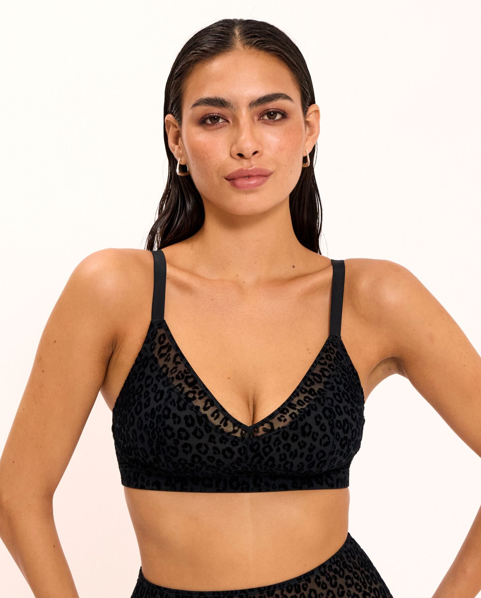 model-name=Asia|model-size=M
