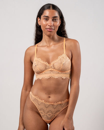 model-name=Luna|model-size=M