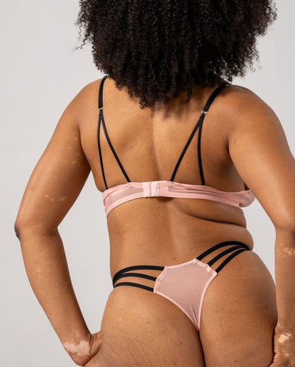 model-name=Eva|model-size=L