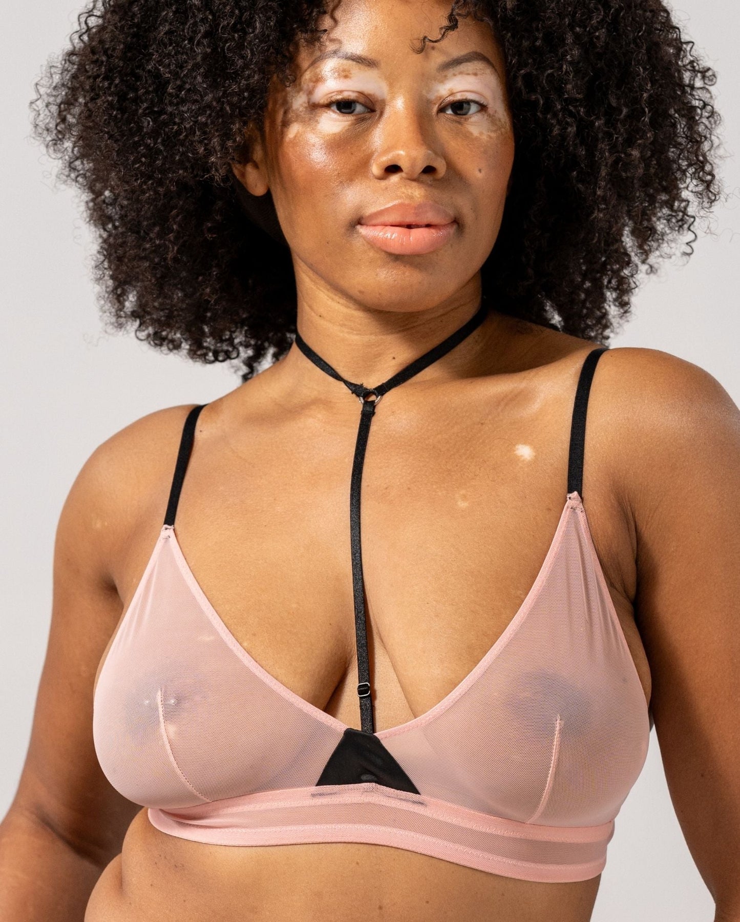 model-name=Eva|model-size=L