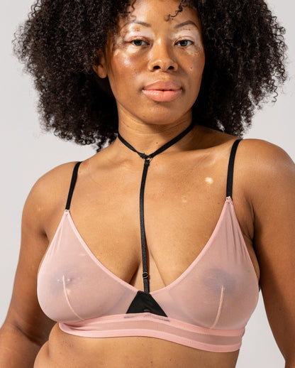 model-name=Eva|model-size=L