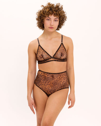 model-name=Felicia|model-size=M