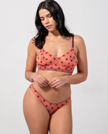 model-name=Ocean|model-size=L