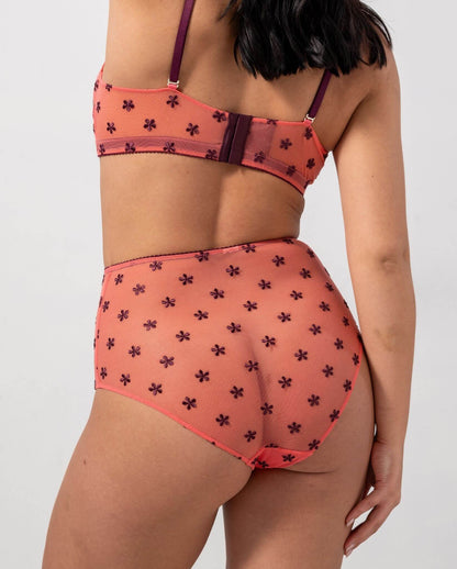 model-name=Ocean|model-size=L