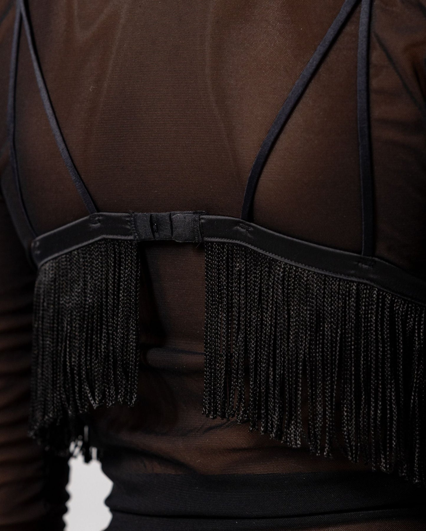 model-name=Luna|model-size=M