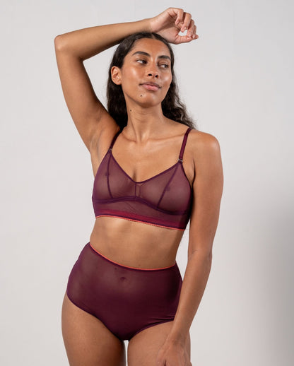 model-name=Luna|model-size=M