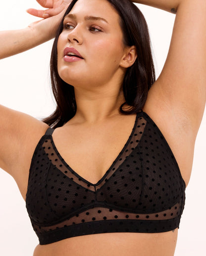 model-name=Isabelle|model-size=L+