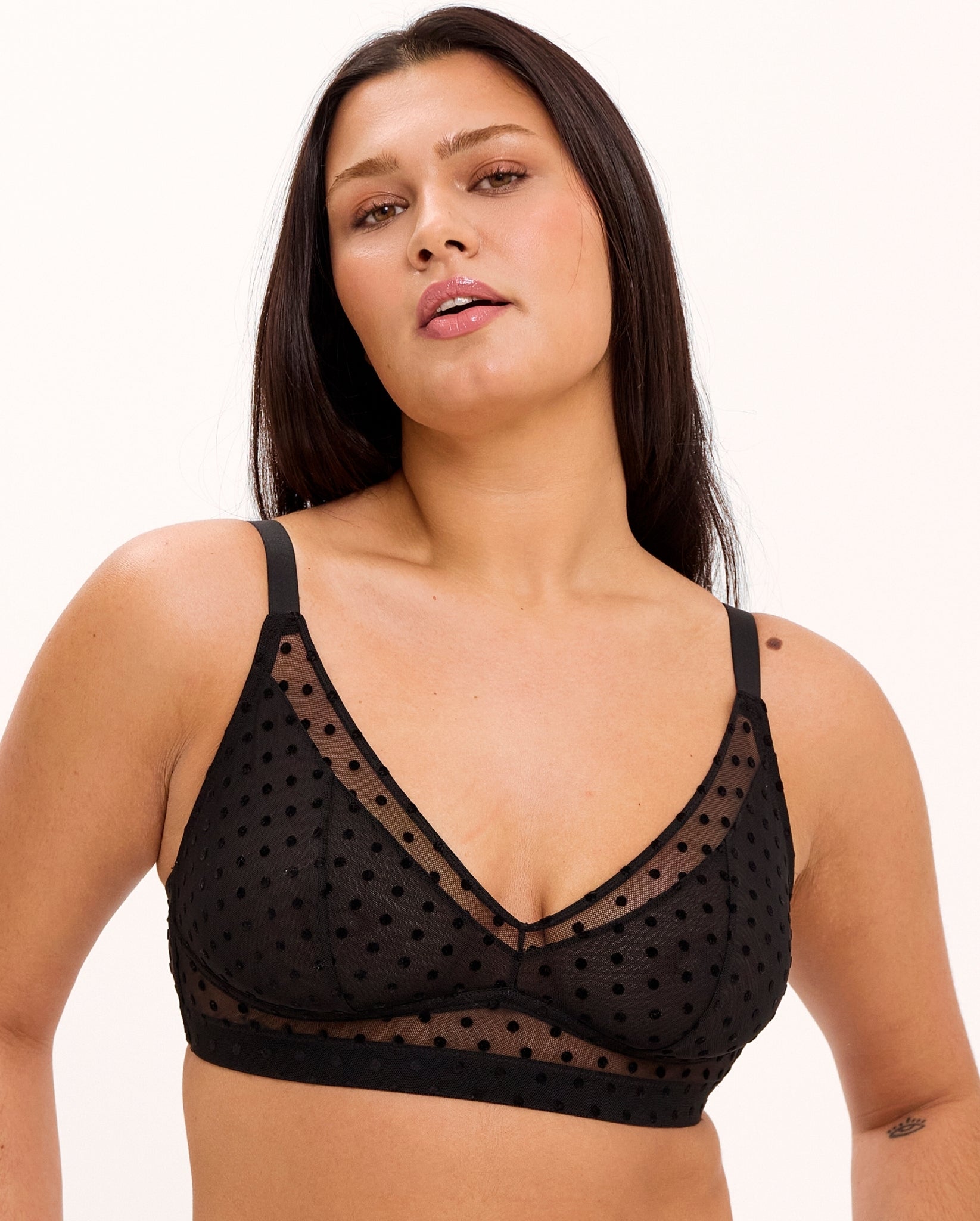 model-name=Isabelle|model-size=L+