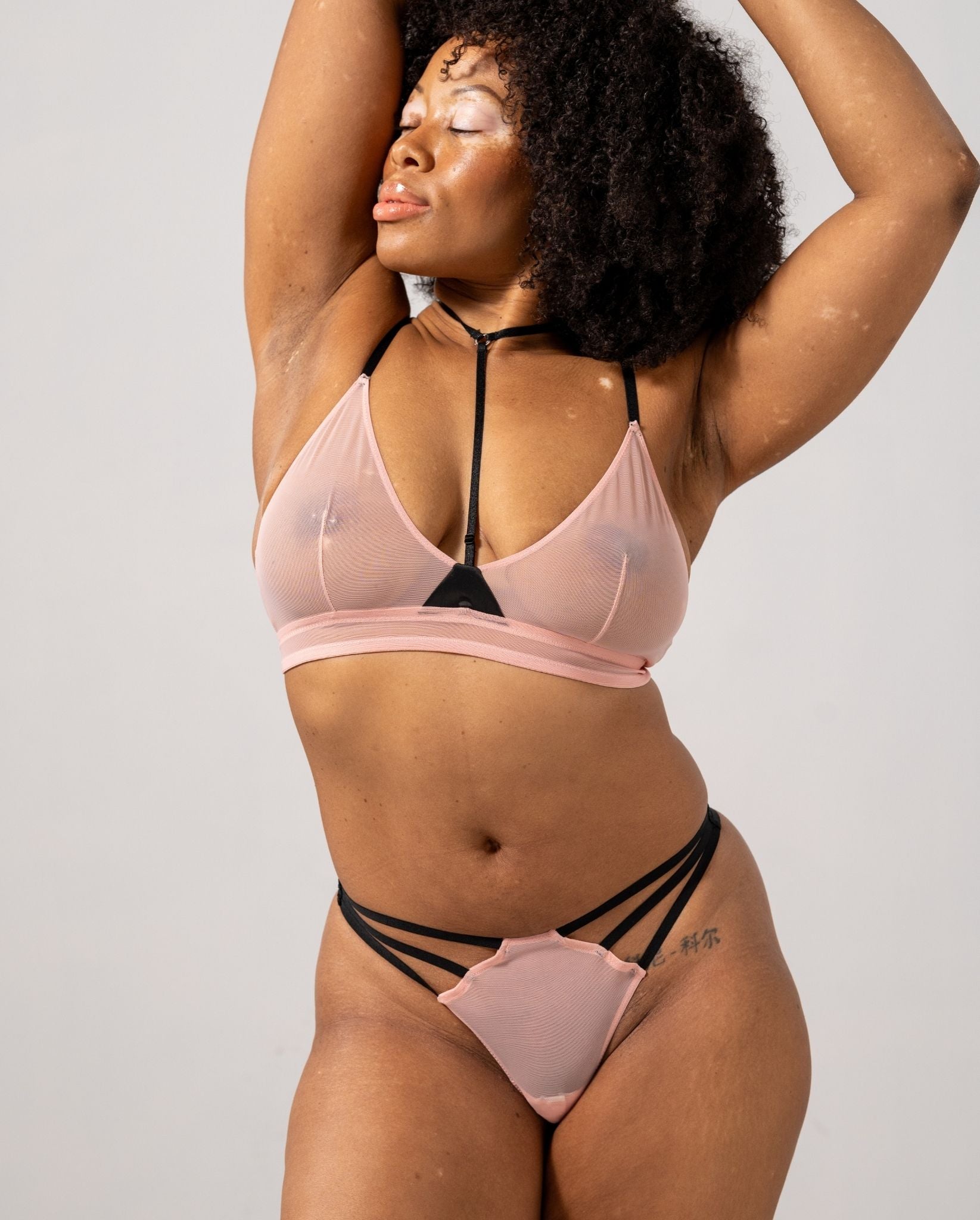 model-name=Eva|model-size=L