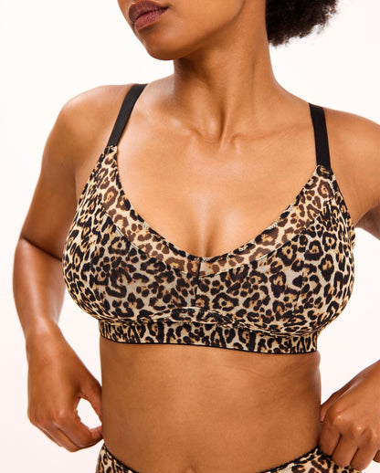 model-name=Sion|model-size=M