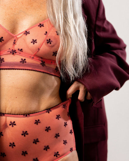 model-name=Shama|model-size=M