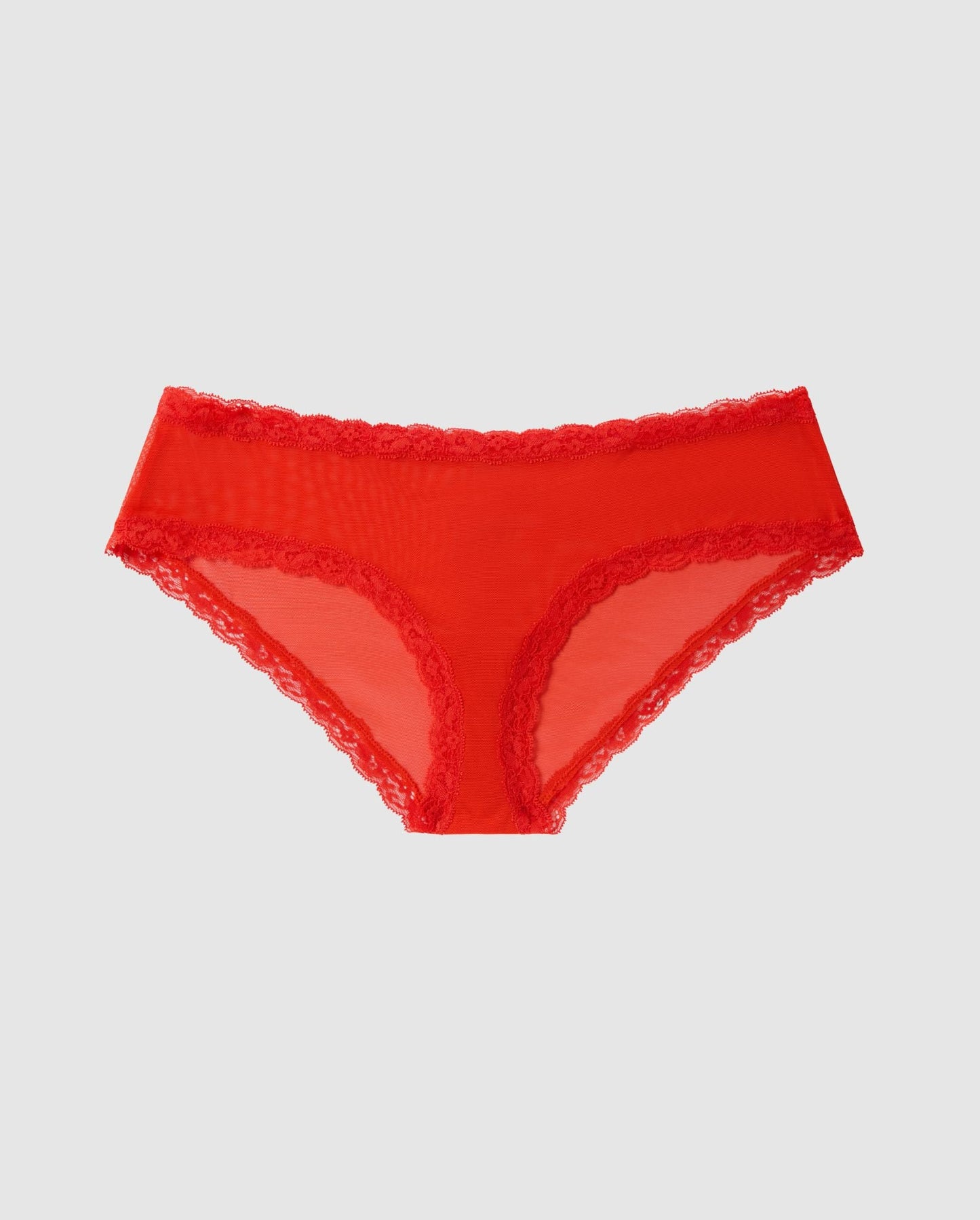 An Mesh Bikini brief with a red design and a lace trim. 