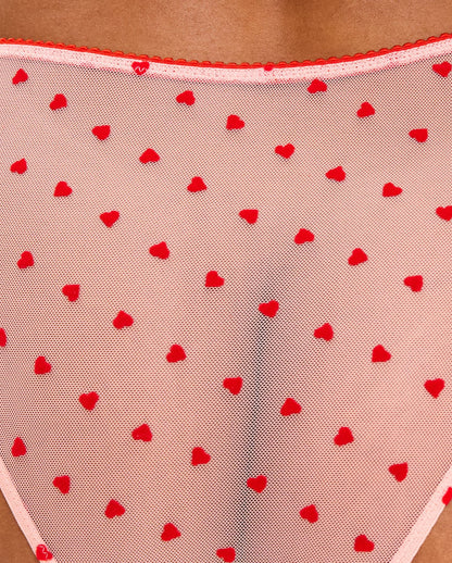 Mesh Bikini Briefs Pale Pink/Deep Red