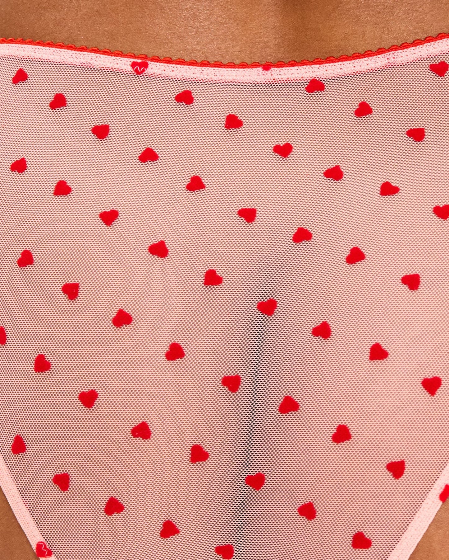 Mesh Bikini Briefs Pale Pink/Deep Red
