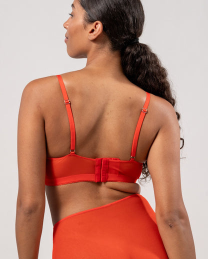 model-name=Luna|model-size=M