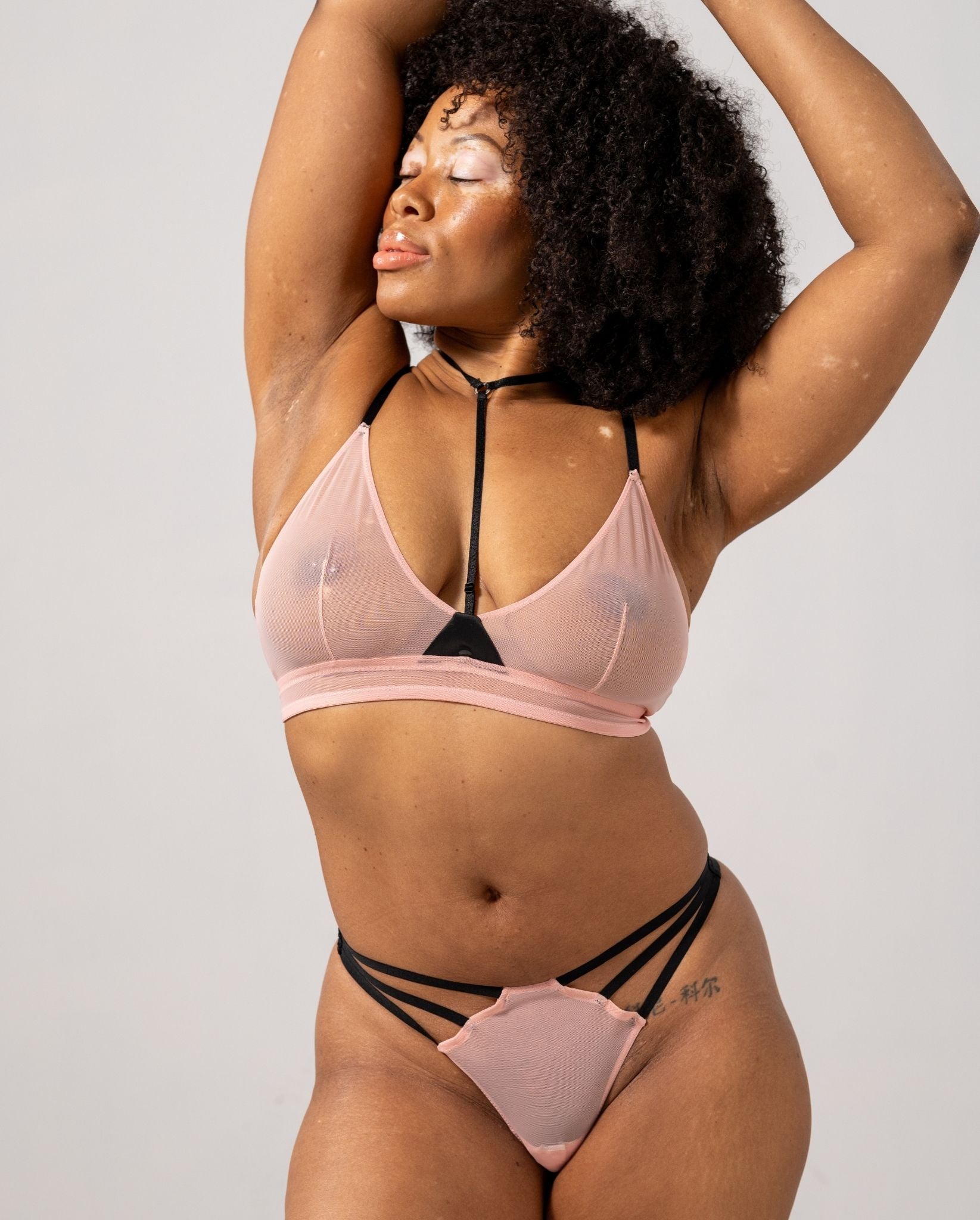 model-name=Eva|model-size=L