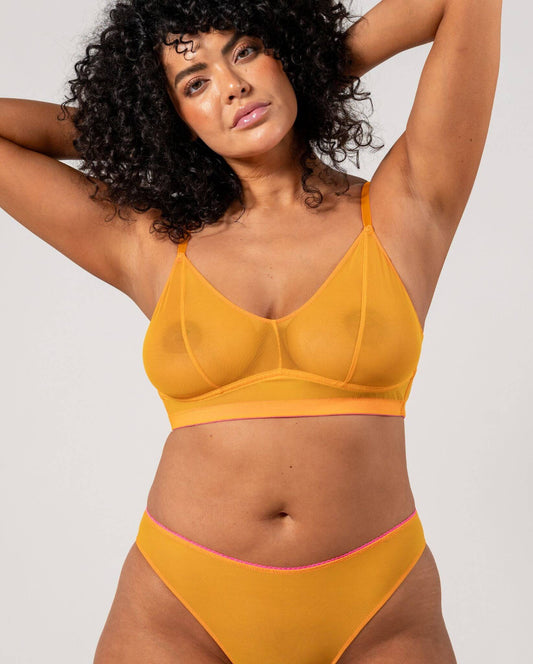 |model-size=XL|