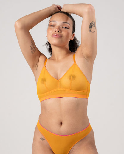 |model-size=M|