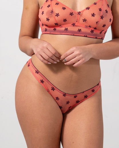 model-name=Ocean|model-size=L