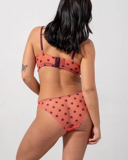 model-name=Ocean|model-size=L