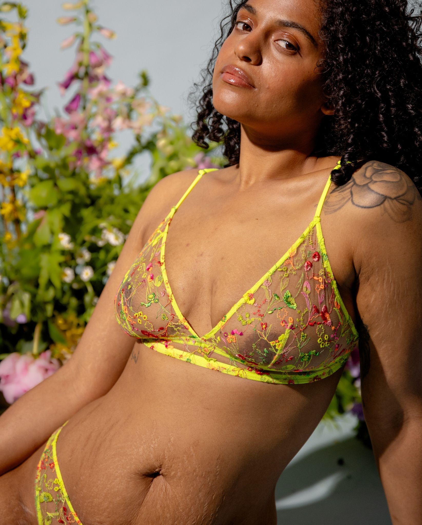 model-name=Bruna|model-size=M