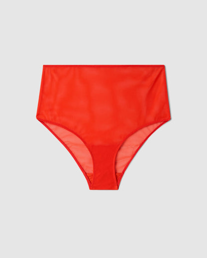 An High-waist Mesh Bikini brief with a red design. 