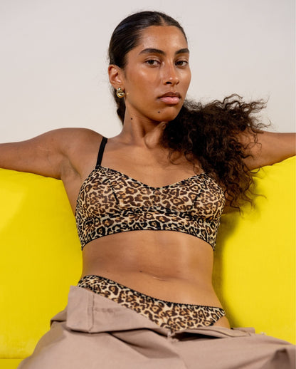model-name=Luna|model-size=M