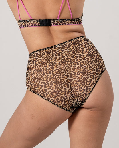 |model-size=M|