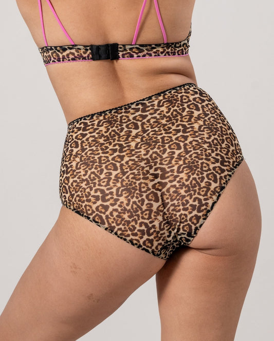 |model-size=M|