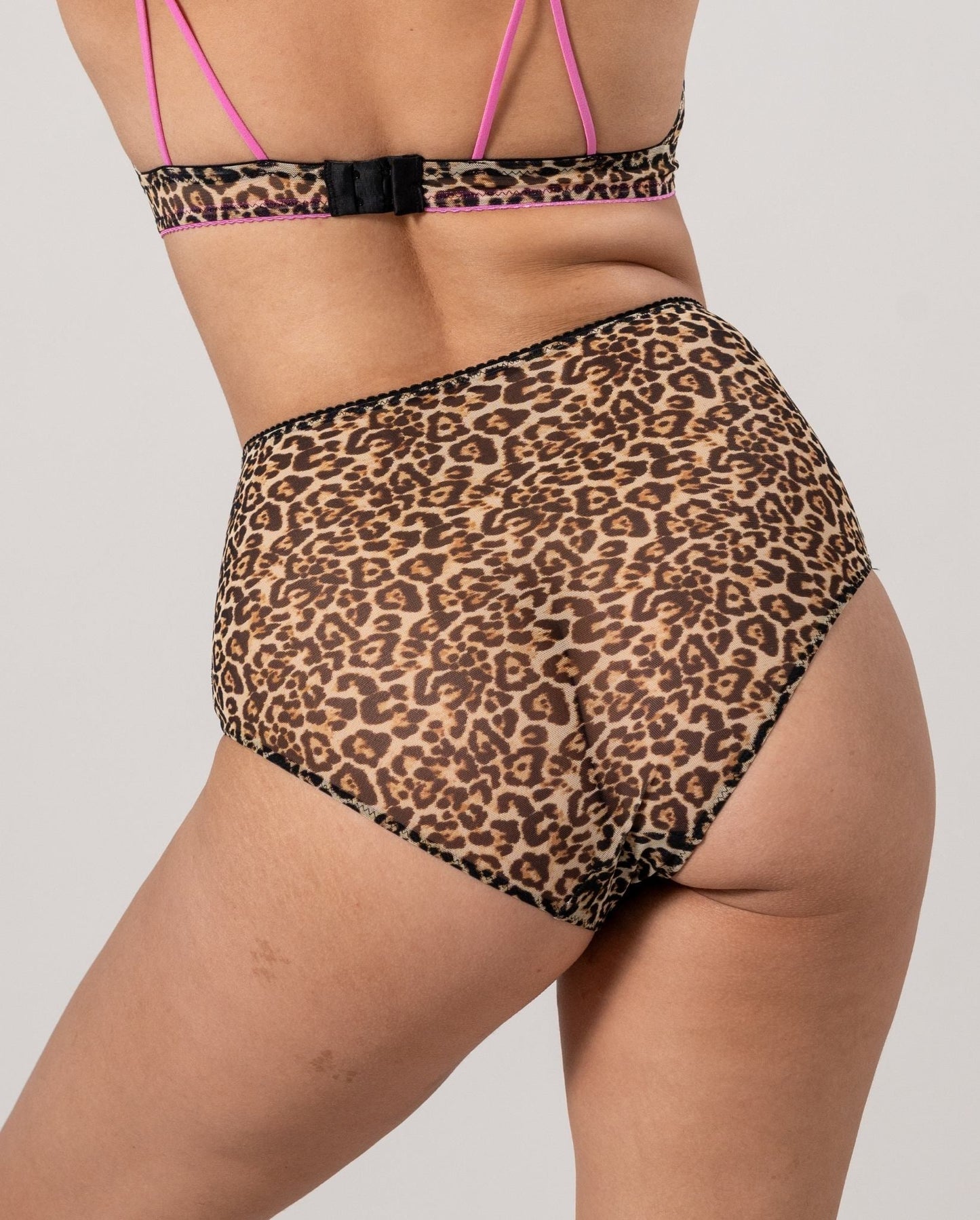 model-name=Laura|model-size=M
