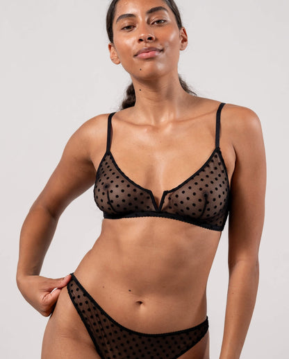 |model-size=M|