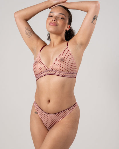 model-name=Laura|model-size=M