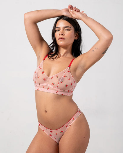 model-name=Ocean|model-size=L