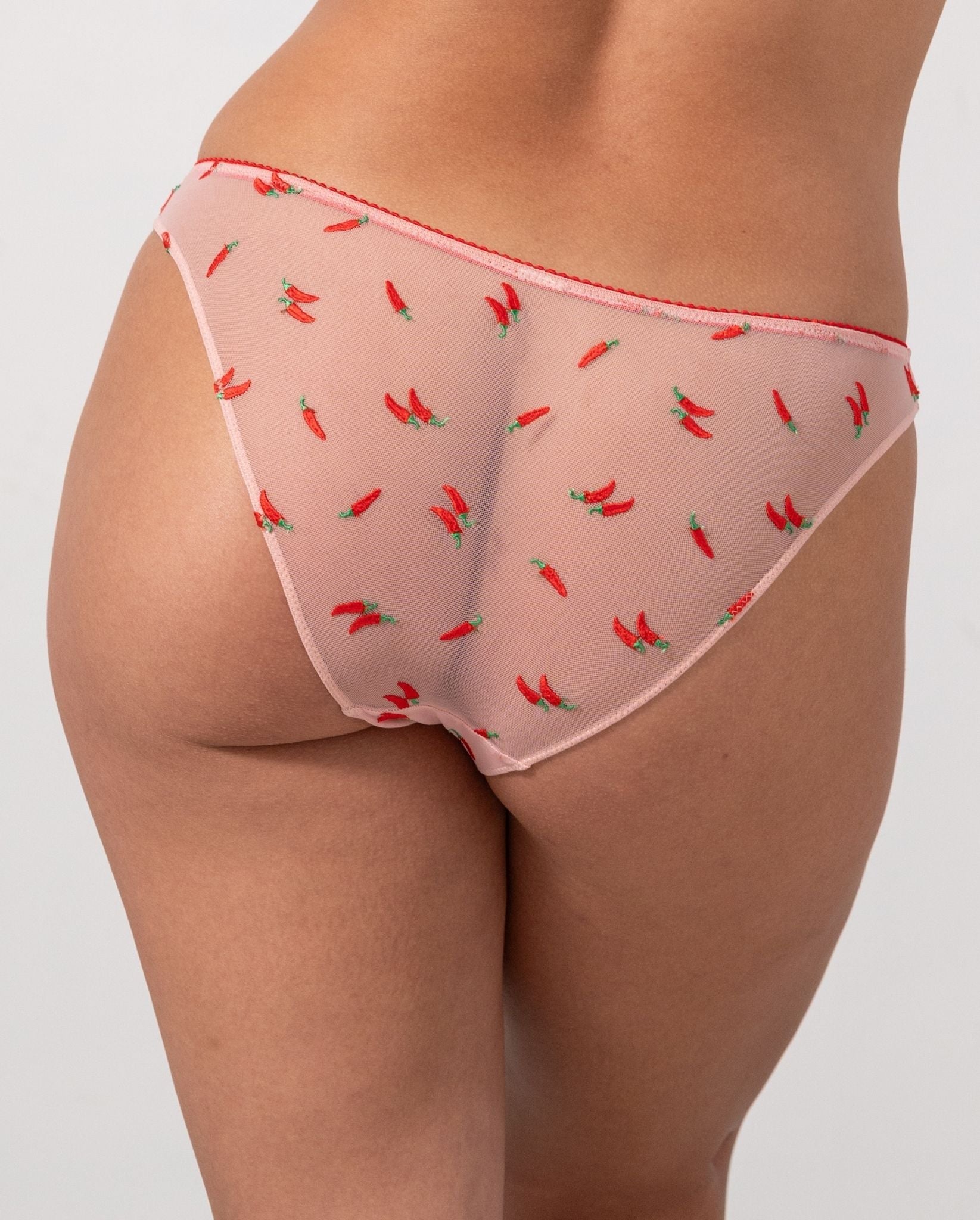 model-name=Ocean|model-size=L