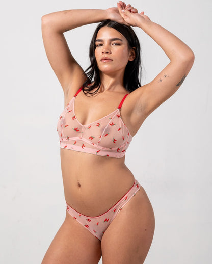 model-name=Ocean|model-size=L