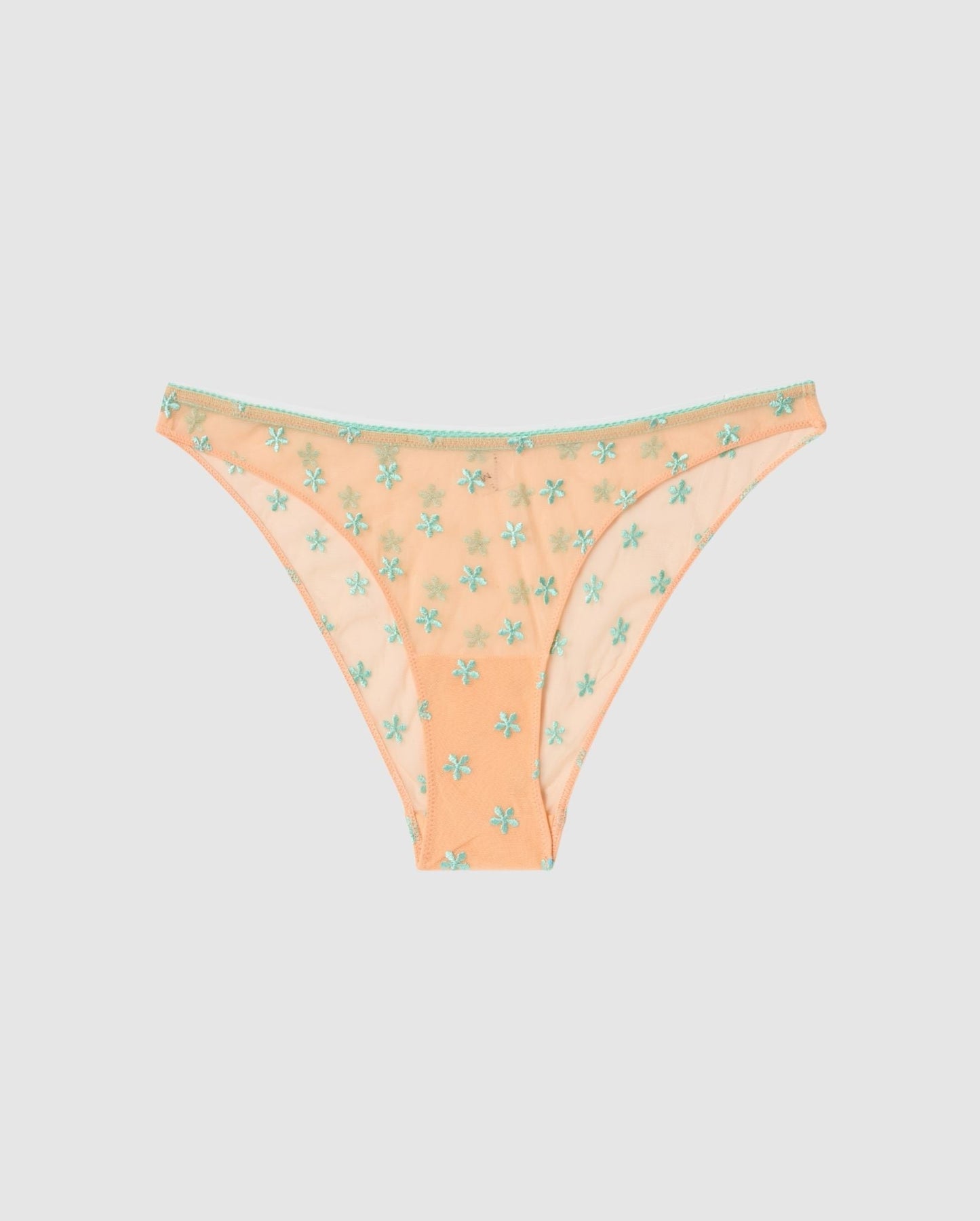 An mesh bikini brief in apricot orange with an turquoise flower accessories.