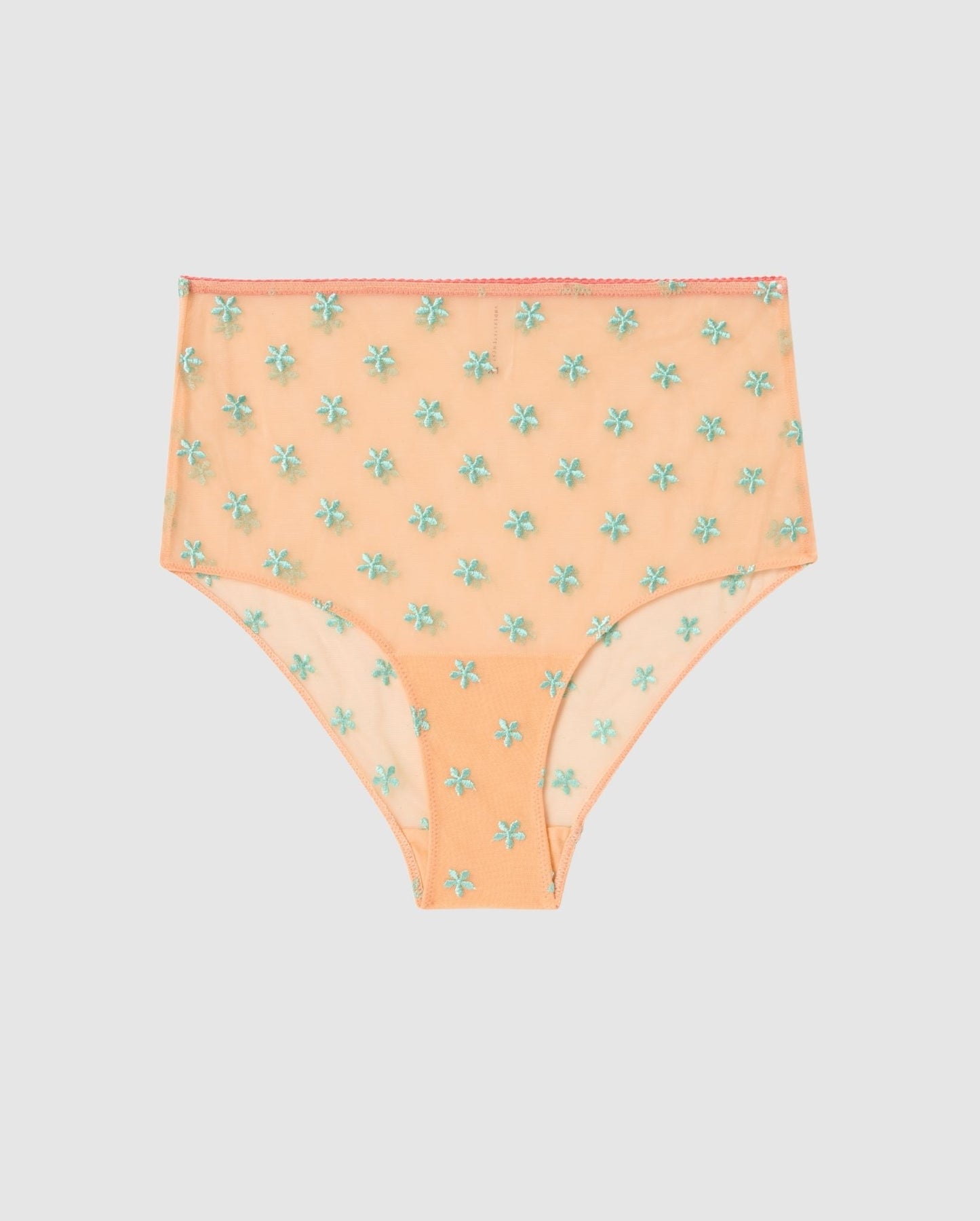 An mesh highwaist brief in peach pink with turquoise accessories.