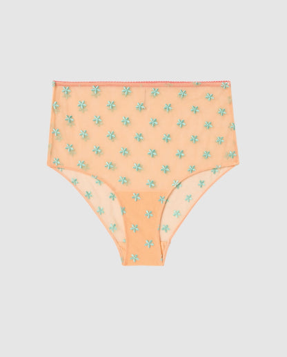 An mesh highwaist brief in peach pink with turquoise accessories.