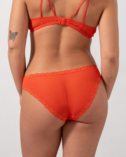 model-name=Ocean|model-size=L