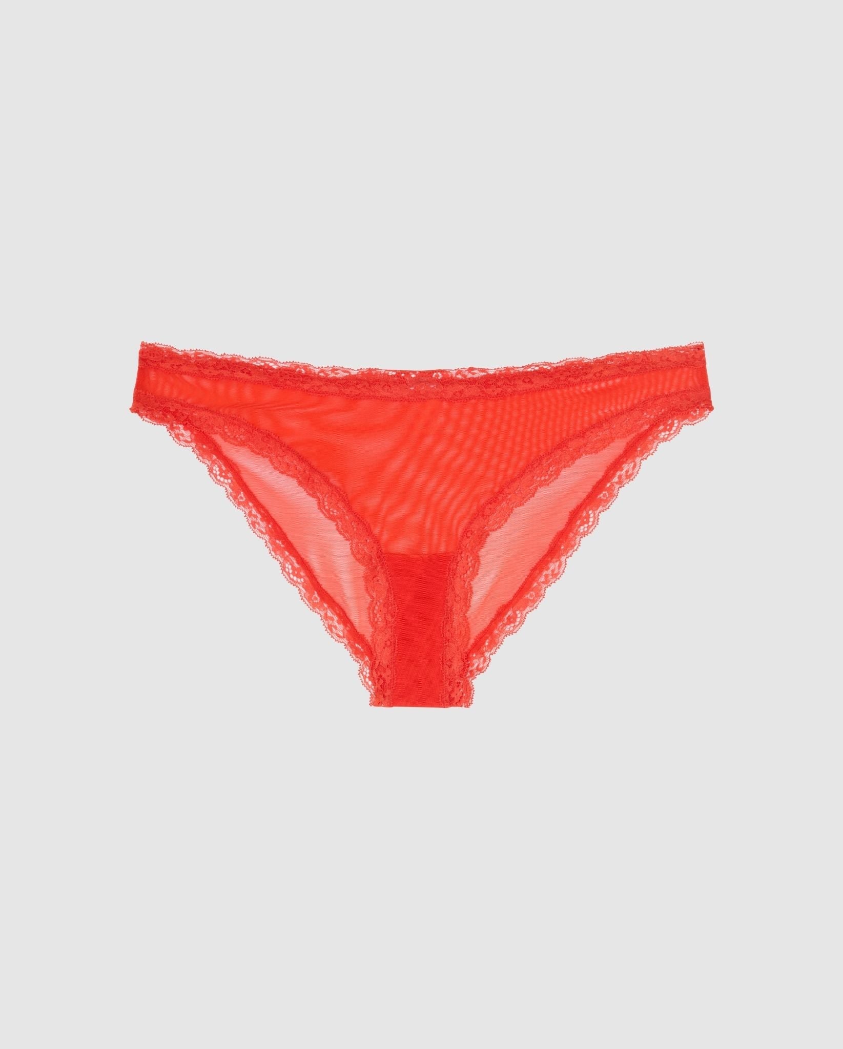 An Mesh Bikini brief with lace trim in a red design. 