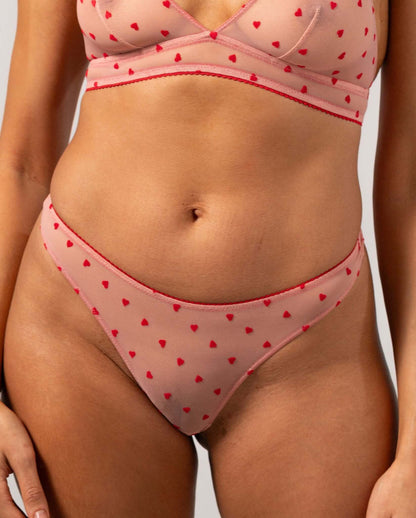 model-name=Daisy|model-size=M