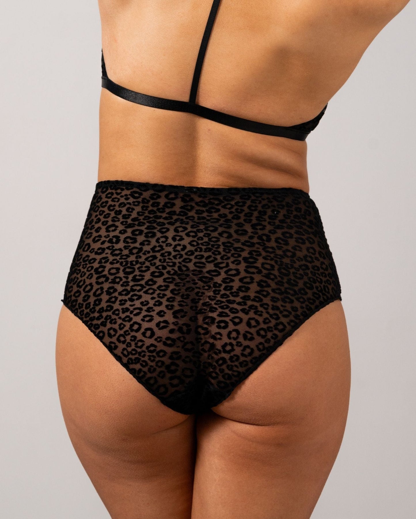 model-name=Daisy|model-size=M